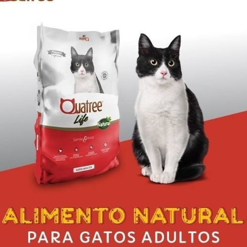 Ícone do produto 