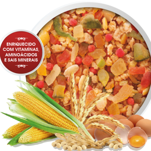 Ícone do produto 