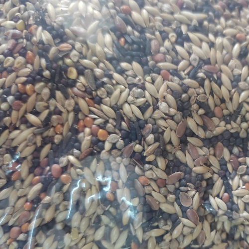 Ícone do produto 