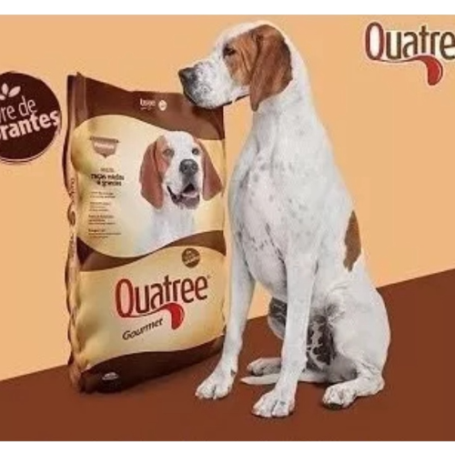 Ícone do produto 