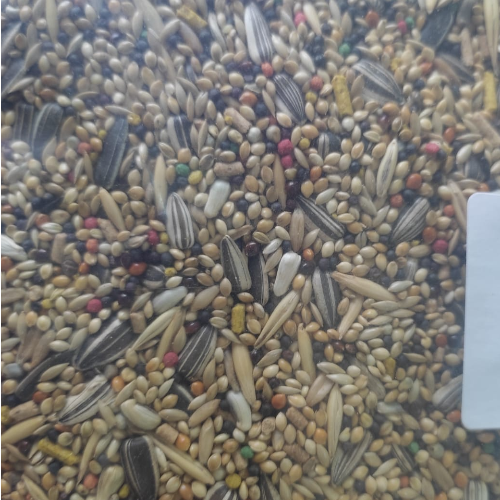 Ícone do produto 