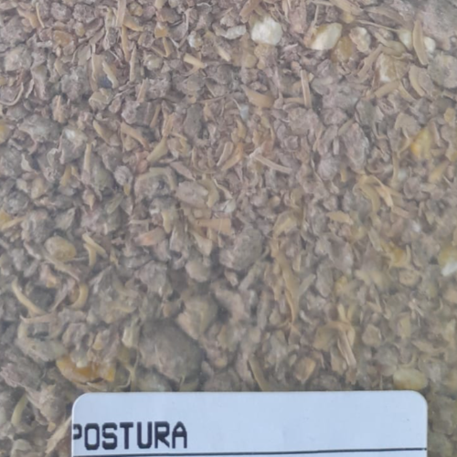 Ícone do produto 